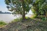 Land for sale in Hat Tha Sao, Chainat