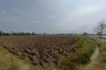 Land for sale in Don Chedi, Suphan Buri