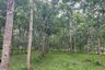 Land for sale in Bang Thong, Phang Nga