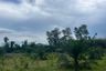 Land for sale in Bang Thong, Phang Nga
