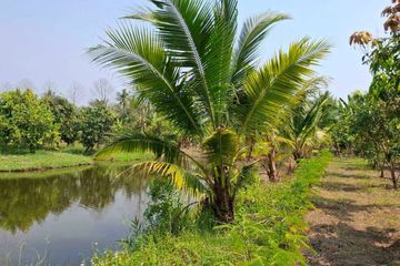 Land for sale in Khlong Yong, Nakhon Pathom