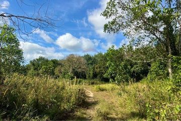 Land for sale in Na Mueang, Surat Thani