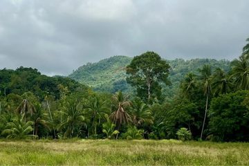Land for sale in Na Mueang, Surat Thani
