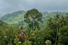 Land for sale in Na Mueang, Surat Thani