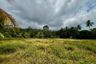 Land for sale in Na Mueang, Surat Thani