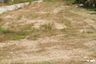 Land for sale in Tha Khuen, Nakhon Si Thammarat