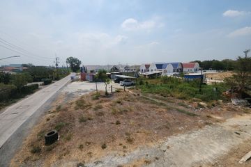 Land for sale in Thanu, Phra Nakhon Si Ayutthaya