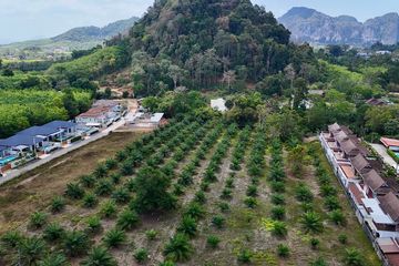 Land for rent in Ao Nang, Krabi