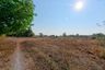 Land for sale in Don Chedi, Suphan Buri