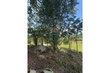 Land for rent in Mae Nam, Surat Thani