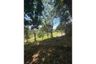 Land for rent in Mae Nam, Surat Thani