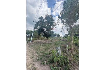 Land for rent in Mae Nam, Surat Thani