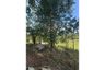 Land for rent in Mae Nam, Surat Thani