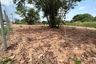Land for sale in Nong Prue, Chonburi