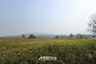 Land for sale in Inthakhin, Chiang Mai
