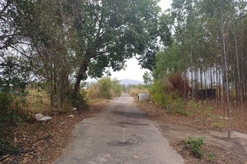 Land for sale in Nong Irun, Chonburi