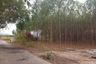 Land for sale in Nong Irun, Chonburi
