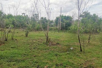 Land for sale in Samet Nuea, Chachoengsao
