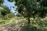 Land for sale in Pa Daet, Chiang Mai