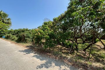 Land for sale in Pa Daet, Chiang Mai