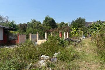 Land for sale in Pa Sang, Lamphun