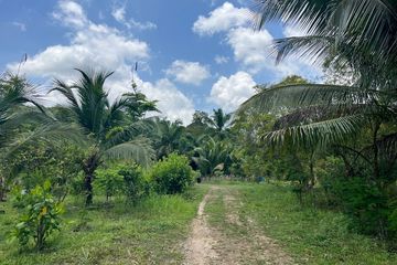 Land for sale in Tha Yu, Phang Nga