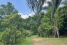 Land for sale in Tha Yu, Phang Nga