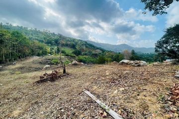 Land for rent in Bo Phut, Surat Thani