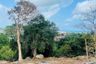 Land for rent in Bo Phut, Surat Thani