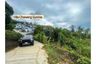 Land for sale in Bo Phut, Surat Thani