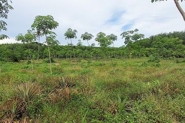 Land for sale in Chak Phong, Rayong