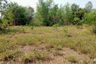 Land for sale in Nai Mueang, Phitsanulok