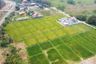 Land for sale in Huai Sai, Chiang Mai
