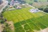 Land for sale in Huai Sai, Chiang Mai