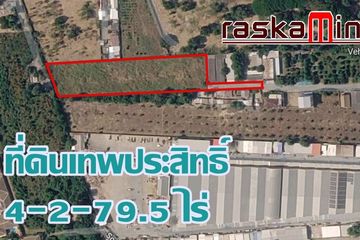 Land for sale in Nong Prue, Chonburi