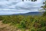 Land for sale in Ratsada, Phuket