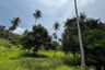 Land for sale in Mae Nam, Surat Thani