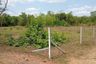Land for sale in Mak Khaeng, Udon Thani