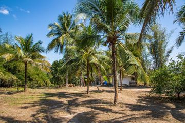 Land for sale in Ban Kao, Kanchanaburi