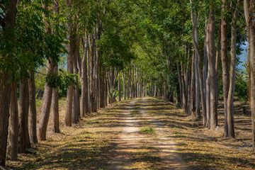 Land for sale in Ban Kao, Kanchanaburi