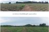 Land for sale in Huai Yai, Chonburi