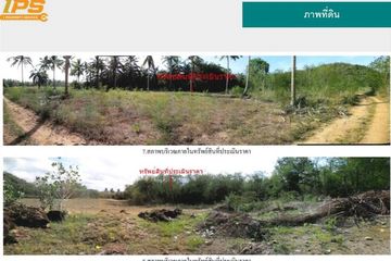 Land for sale in Thong Mongkhon, Prachuap Khiri Khan