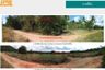 Land for sale in Thong Mongkhon, Prachuap Khiri Khan