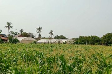 Land for sale in Tha Yang, Phetchaburi