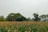 Land for sale in Tha Yang, Phetchaburi
