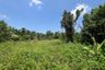 Land for sale in Bang Muang, Phang Nga