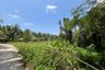Land for sale in Bang Muang, Phang Nga