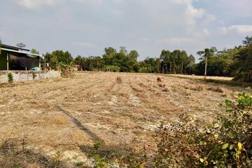 Land for sale in Wang Yen, Chachoengsao
