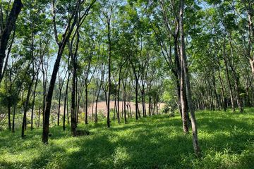 Land for sale in Bang Muang, Phang Nga