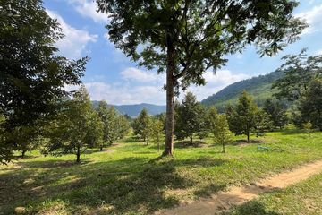 Land for sale in Thung Kha Ngok, Phang Nga